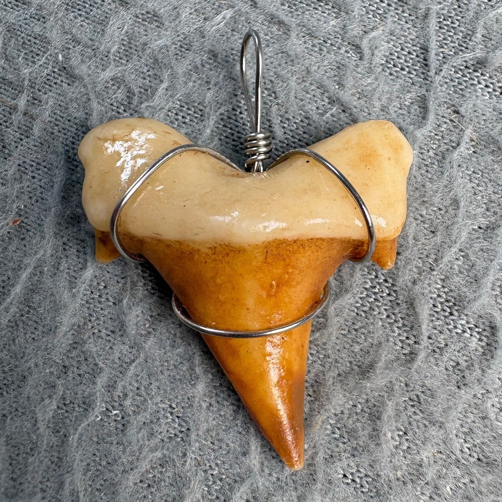 Handmade Wire Wrapped Shark Tooth Pendant Fossil Jewelry Tan Cream Nautical